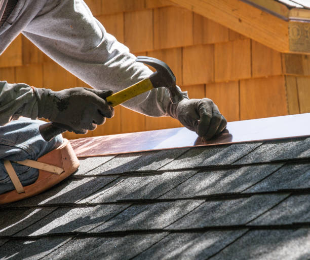 Best Roof Gutter Cleaning  in Decatur, MS